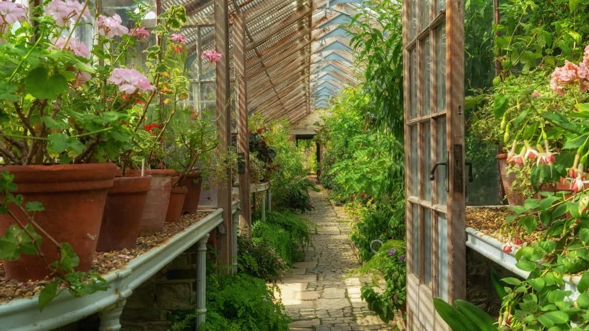 Wéi Instagram Influencer zu Lëtzebuerg mat Marken a Frankräich zesummeschaffe kënnen