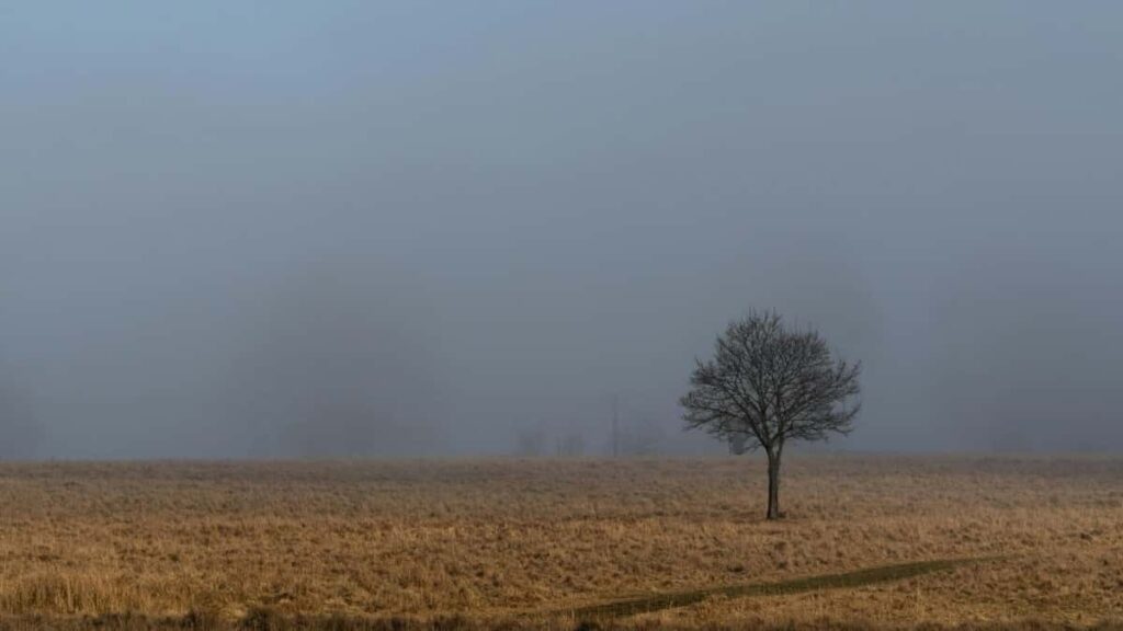 2025 UK Instagram Annoncepräisser a komplett Iwwerbléck fir Luxembourg
