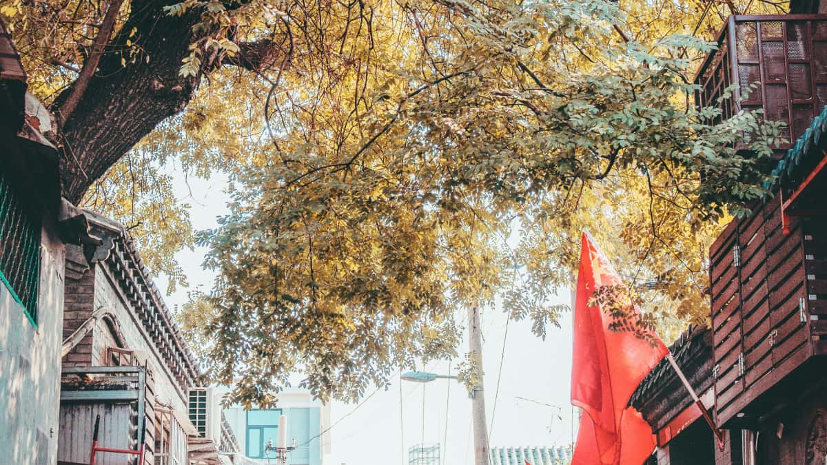 Lux Creators: Pitch Estonia Brands on ShareChat & Win