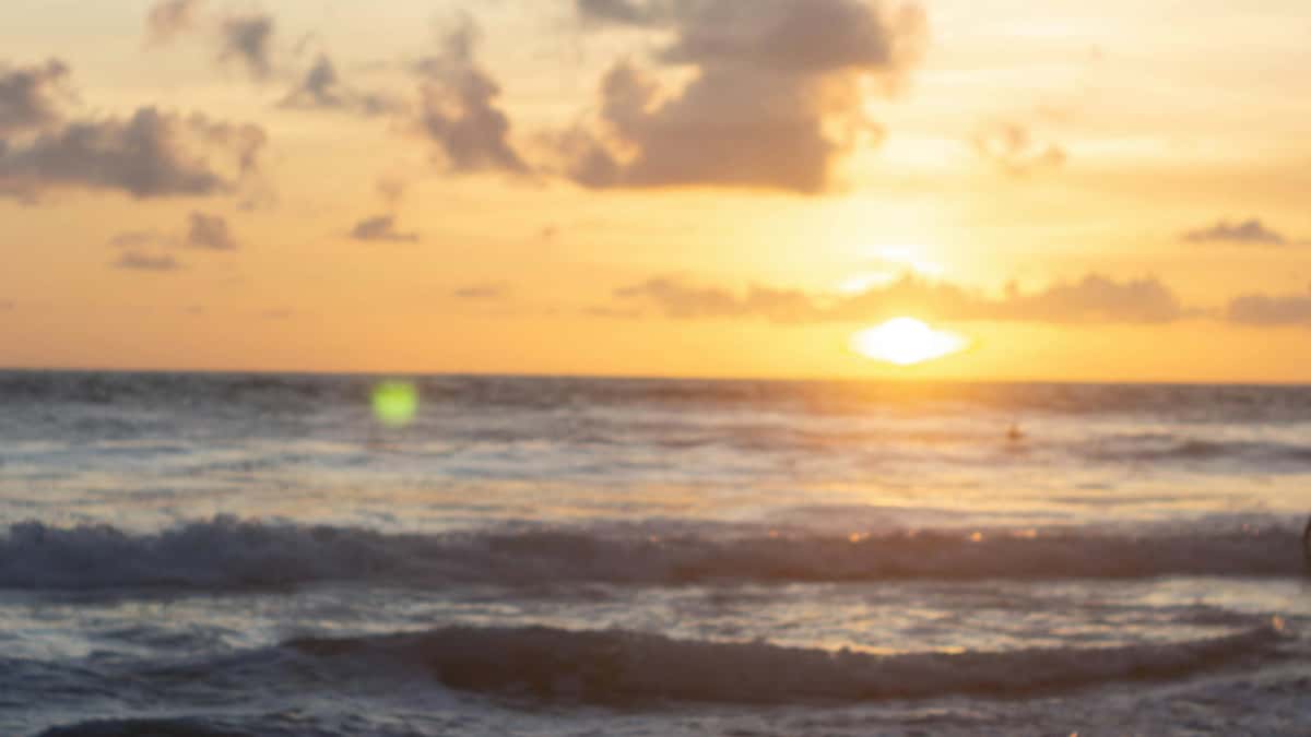 Lux Advertisers: Find Sri Lanka HBO Max Creators