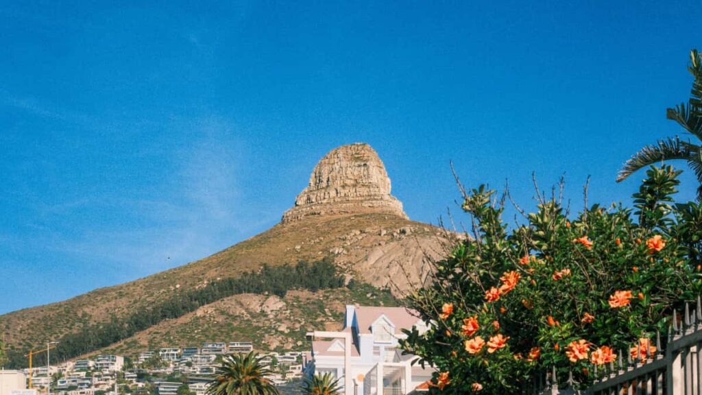 Praktesch Guide fir Letzebuerg Advertiser: wou a wei een Singapore-baseiert Chingari Creatoren fennt fir limiteiert Edition drops, inkl. Strategieen, Plattforme-Verglaich an Aktiounsplang.