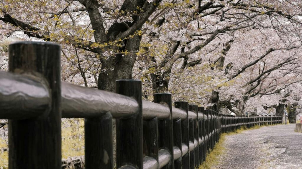 Pragmatesch Guide fir Letzebuerger Advertiseren: wei een Japanesch Line-Creatoren identifizeiert, rekruteiert a manageiert fir saisonal Verkafscampagnen inkl. Plattformverglaich, Praxis-Tipps an Action-Checklist.