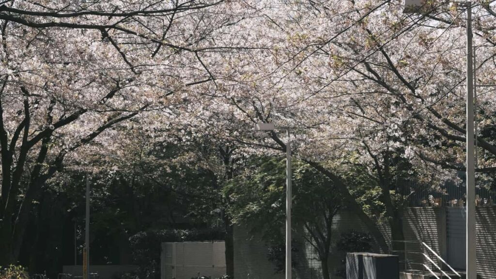 Praktesch Guide fir letzebuergesch Annonceuren: wei een Spotify-Creatoren a Schwaiz identifizeiert an UGC benotzt fir Reesgear sichtbar ze maachen.