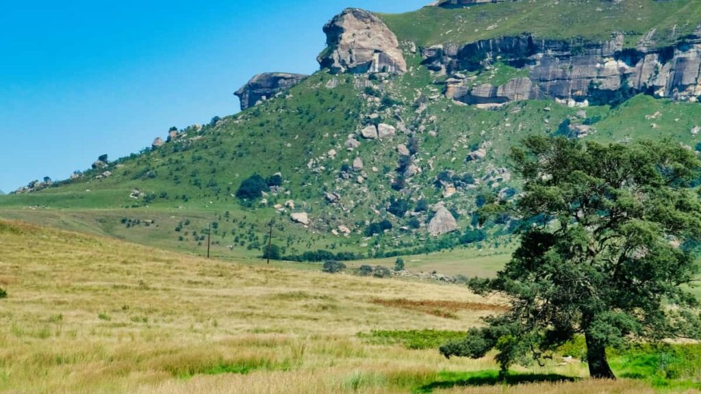 Praktesch Guide fir Letzebuerger Annonceuren: wei een Takatak-Creatoren aus Georgien fennt, micro-niche Zielgruppen erreecht an Authentiziteit konstruktiv notzt.