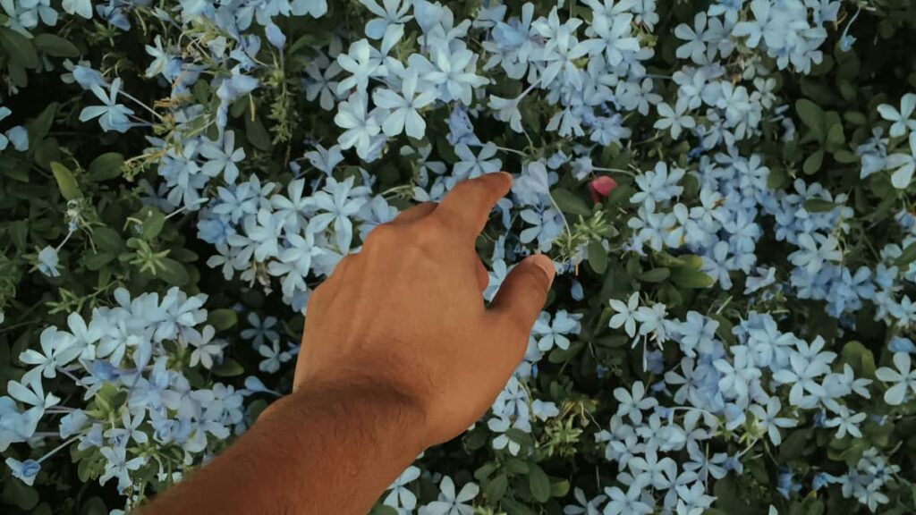 Praktesch Guide fir Letzebuerg-Creatoren: wei een hongaresch Marken op Moj zielt fir Affiliate-Verkaaf, konkret Schrett, Tools an Zougangsstrategien.