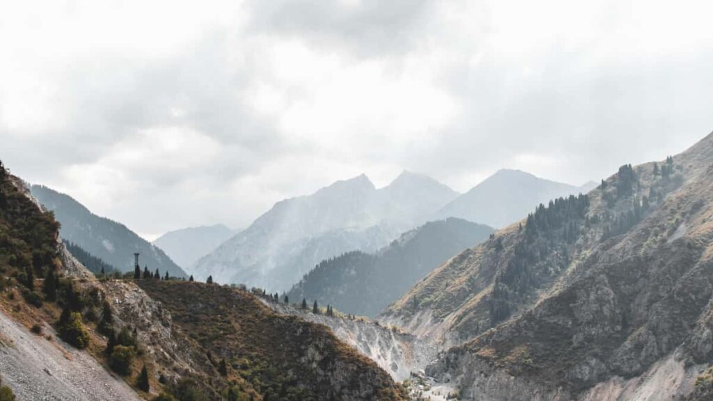 Praktesch Guide fir Letzebuerger Advertiser: wei een ecuadorianesch Twitch-Streameren identifizeiert, engageiert an aktiveiert fir mei Awareness an Gaming-Communities.