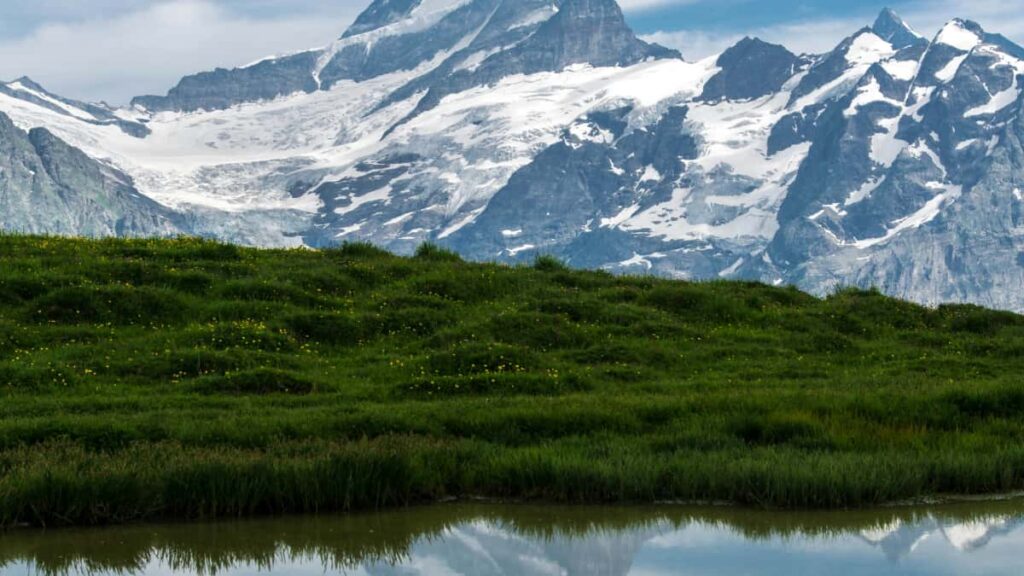 Praktesch Guide fir Letzebuergesch Advertisaren: wou a wei een Amazon India Creatoren fennt, wei eng Tools an Lokalkonnektiounen (FIEO) hellefen, a wei een Kampagnen opsetzt dei Marche a Vertraue brengen.