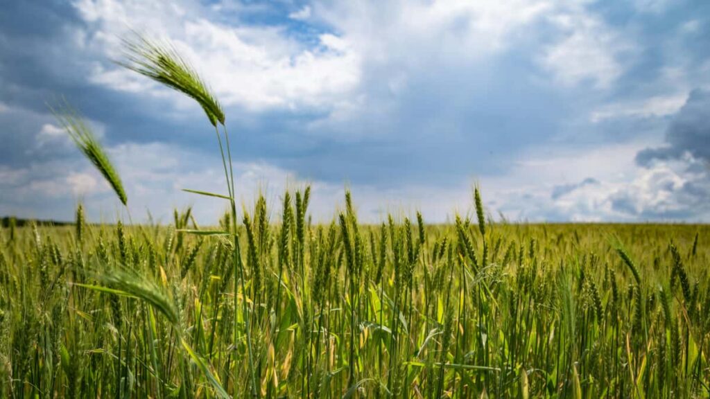 Praktesch Guide fir Advertiseierer an Letzebuerg: wei een Jordan Threads Creatoren identifizeiert, filtert an activeiert fir Nei-Produkter ze promoten.