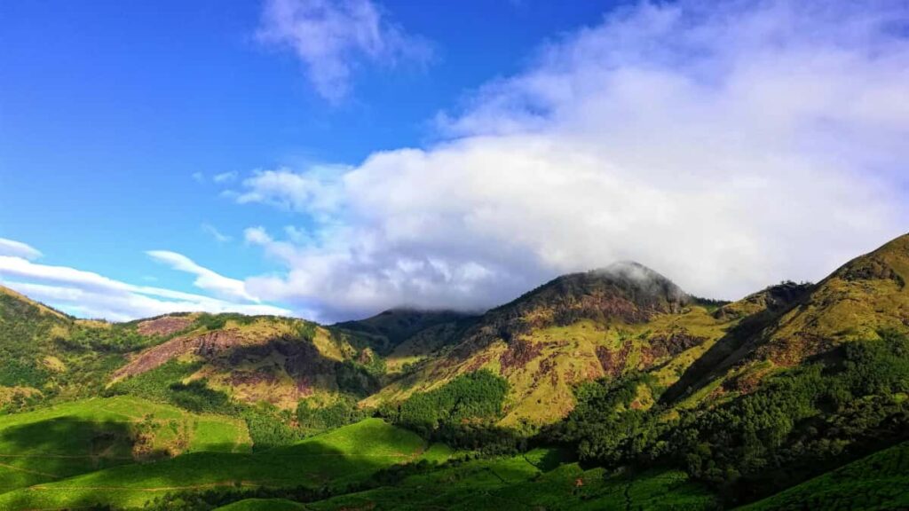 Praktesch Guiden fir Letzebuerger Creatoren: wei een latviesch Marken op Disney Plus zielt a Vertrauen bei Sponsore baut.