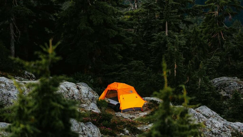 Praktesch Guide fir Letzebuergesch Handler: Strategien fir Puerto Rico Creatoren op Roposo z'identifizeieren, z'engageieren an Are Online Shop Verkaf ze steieren.