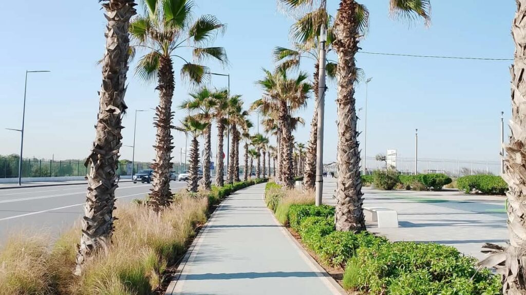 Praktesch Guide fir Letzebuerg Creatoren: wei een Japanesch Marken iwwer Hulu ukennegt an exklusiv Produkt-Bundelen zesummestallt.