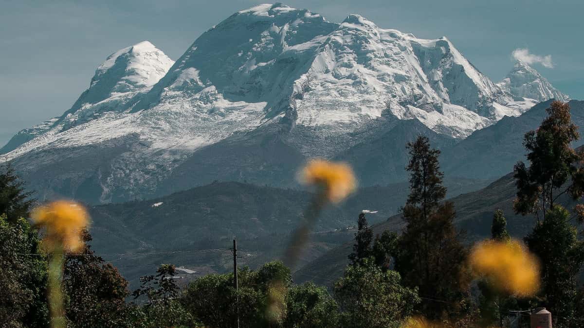 Agencë a Marken: Fannt Tanzania Douyin Creatoren fir laangfristeg Zouelaf