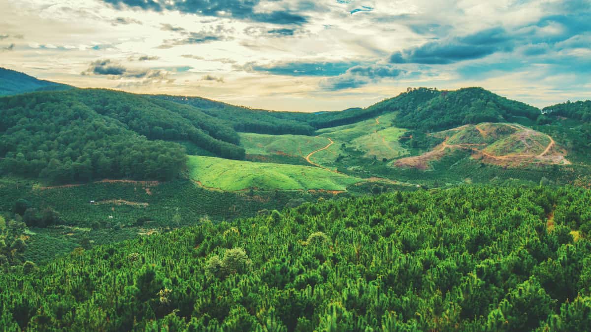 Luxembourg Startups: Fënns Israel Moj Creatoren fir Nische-Publikum
