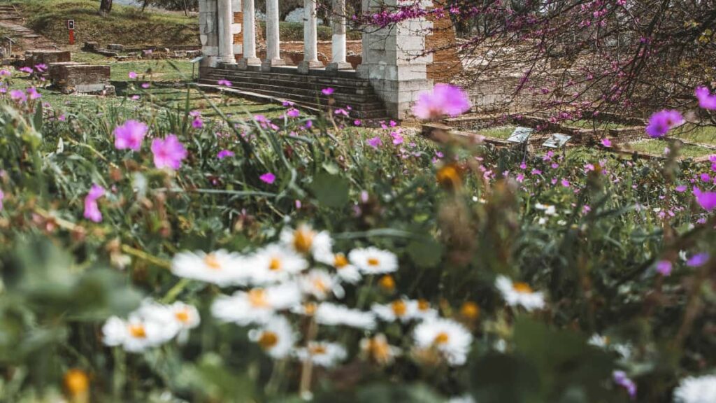 Praktesch Guide fir letzebuergesche Marken: wei een Qatar-baseiert Netflix-Creatoren identifizeiert a mat UGC Travel-gear Kampagnen benotzt mat aktuelle Maartinsichten a Praxis-Tipps.