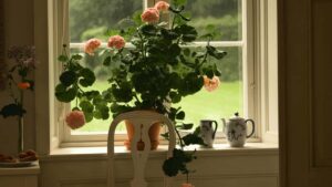 Praktesch Guide fir luxembourger Creatoren wei een Ethiopia-Marken op Twitter ukennt fir gebrandete Reesvlogs ze kreien Outreach-Taktiken, lokal Insight a Deal-Vuerschlei.