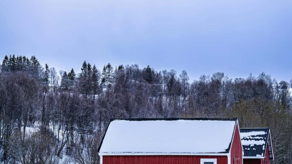 Praktesch Guide fir Letzebuergesch Advertiseren: wei een Shopee-Creatoren an den UAE identifizeiert, evalueiert a aktiveiert fir Esports-Campagnen.